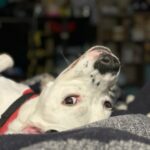 Profile photo of 